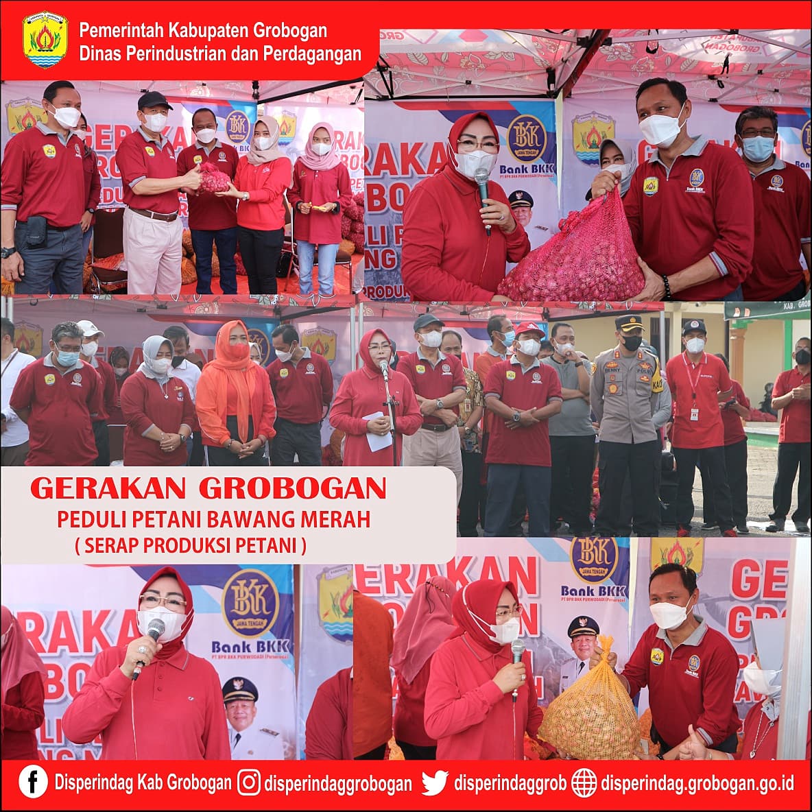 WhatsApp Image 2021 11 26 at 1127332